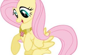 小马宝莉模板 小马宝莉模板