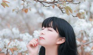 我如果遇见我 我如果遇见我